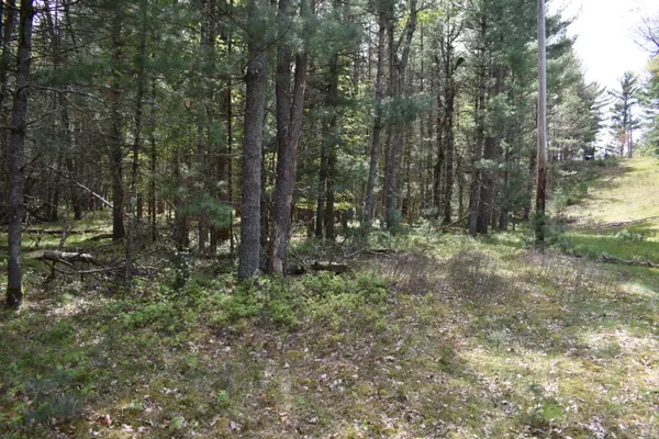 $290,000 | 0 South Ever Blooming Drive, Baldwin, MI 49304