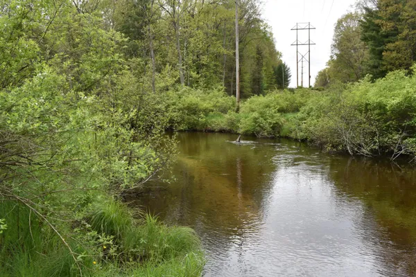 $290,000 | 0 South Ever Blooming Drive, Baldwin, MI 49304