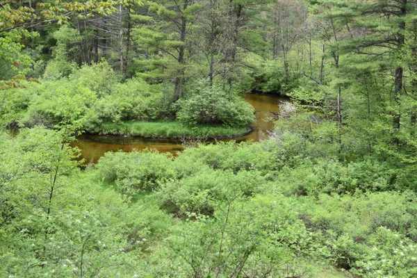 $290,000 | 0 South Ever Blooming Drive, Baldwin, MI 49304