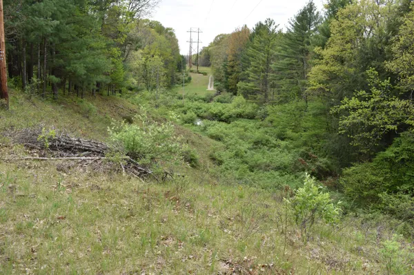 $290,000 | 0 South Ever Blooming Drive, Baldwin, MI 49304