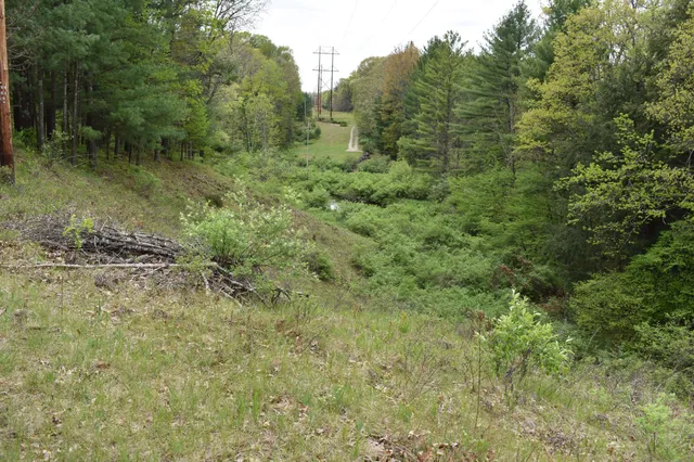 $290,000 | 0 South Ever Blooming Drive, Baldwin, MI 49304