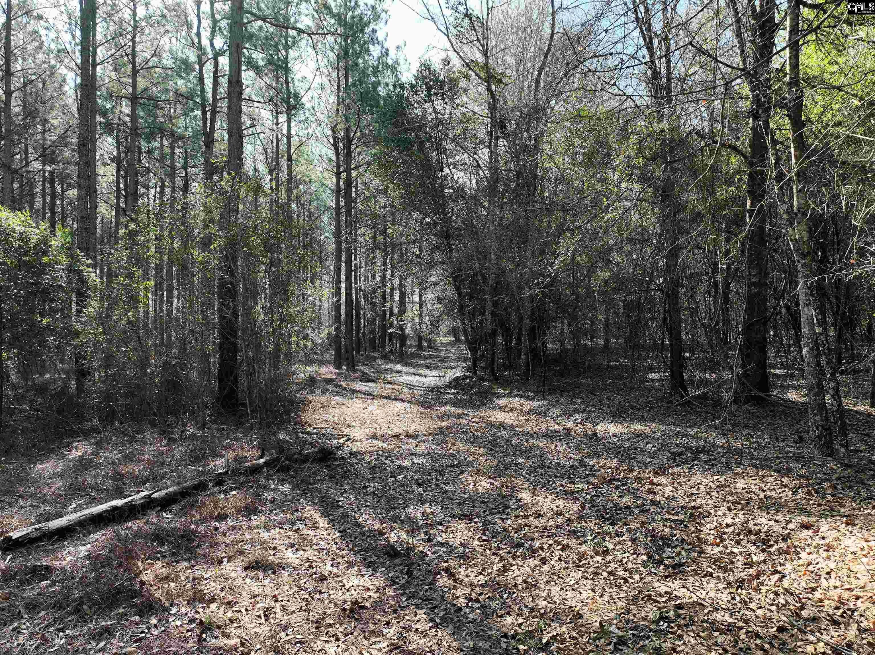 0 Salley Road Salley, SC 29137 - Photo 20 of 21