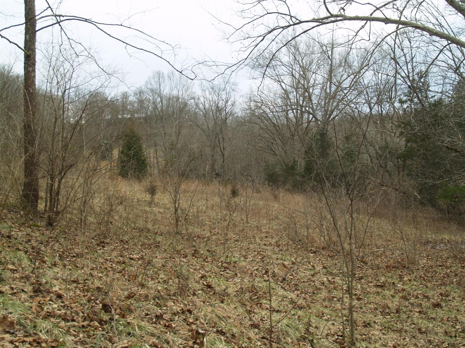 843 Red River Road Irvine, KY 40336 - Photo 13 of 18 Listing Photo