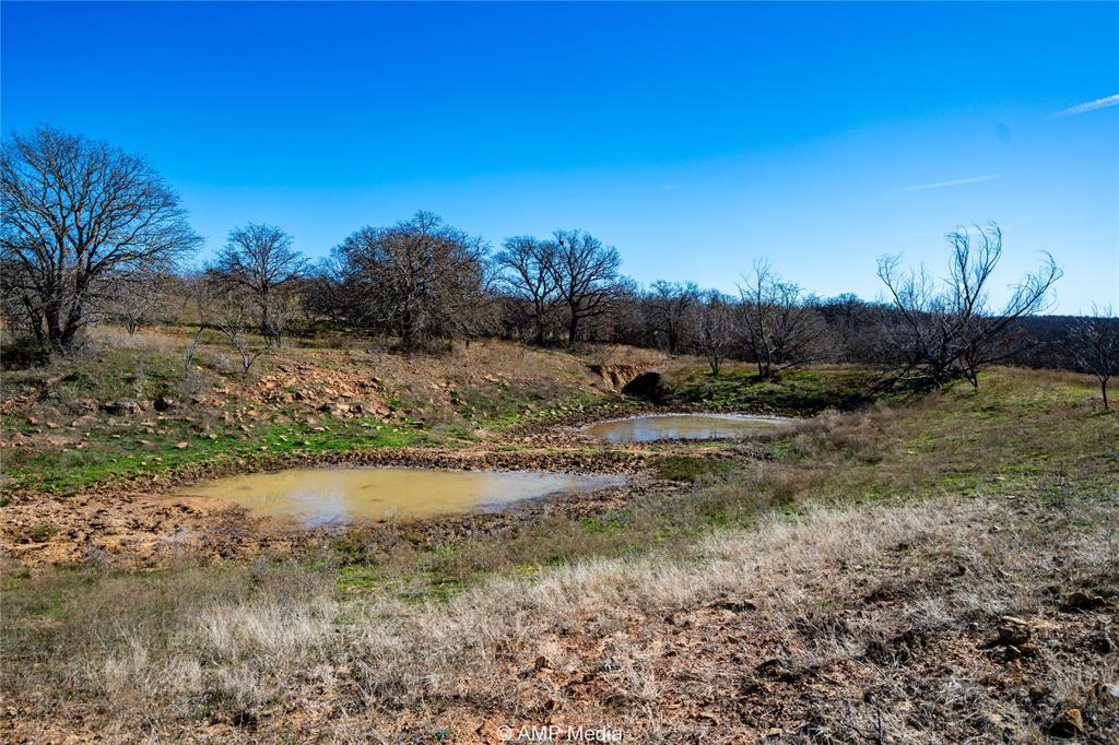 1992 Sand Flat Road Jacksboro, TX 76458 - Photo 11 of 36 View of yard with a water view