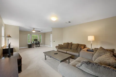 a huge green field with lots of trees