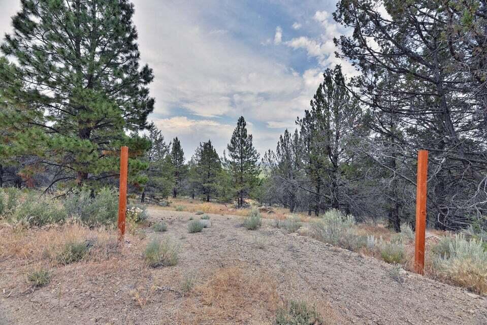 0 Kootenai Street Chiloquin, OR 97624 - Photo 2 of 12 a view of a road with a trees