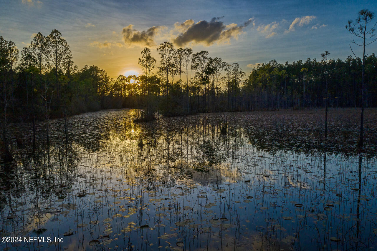 323 Sawgrass Drive Yulee, FL 32097 - Photo 41 of 48 a view of a yard
