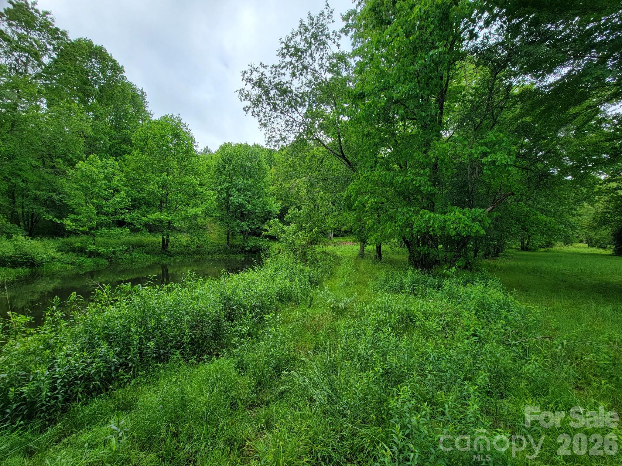 Tbd Sweetwater Rdg Road, Unit 1 Balsam Grove, NC 28708 - Photo 15 of 24 a view of a lush green space