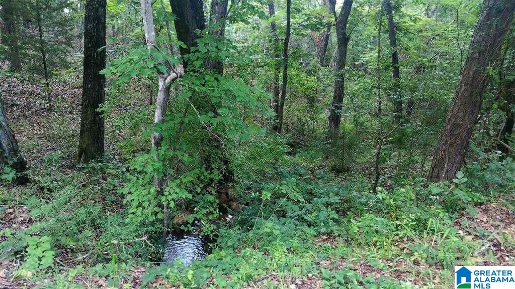 0 Powell Road Remlap, AL 35133 - Photo 15 of 19