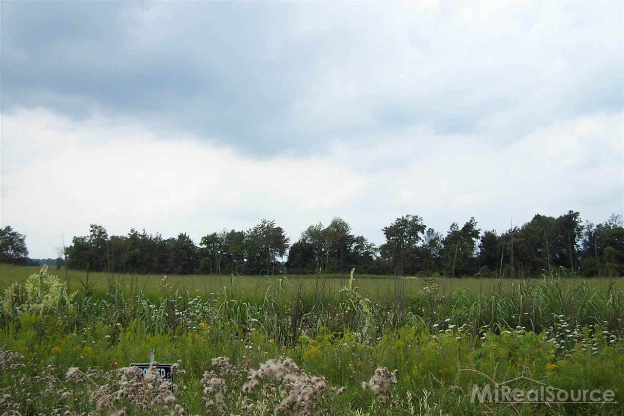 Parcel G Fisher Road Romeo, MI 48065 - Photo 3 of 6 31209587-2.JPG