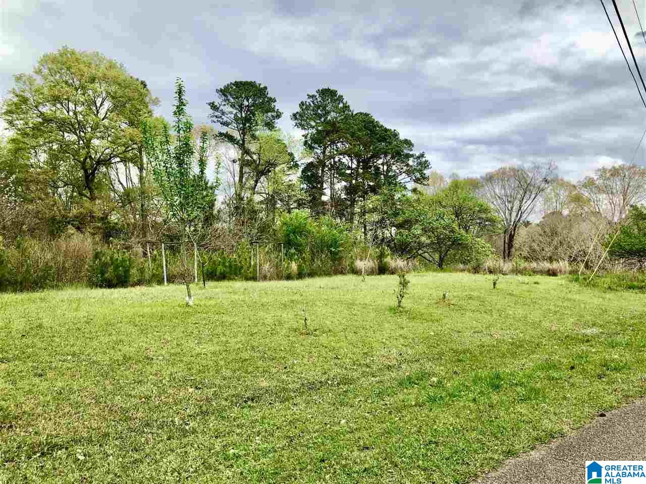 0 Sharpes Lake Road, Unit 2 Northport, AL 35473 - Photo 6 of 8