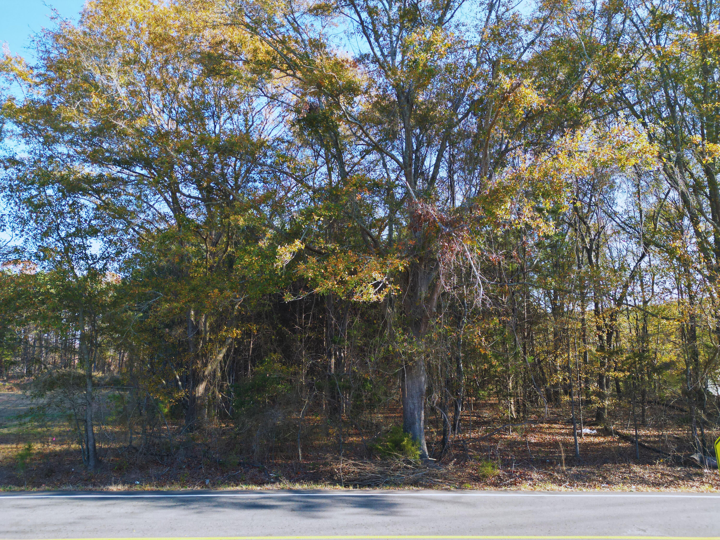 0 Waddell Road Woodruff, SC 29388 - Photo 9 of 11 Gallery Image 9