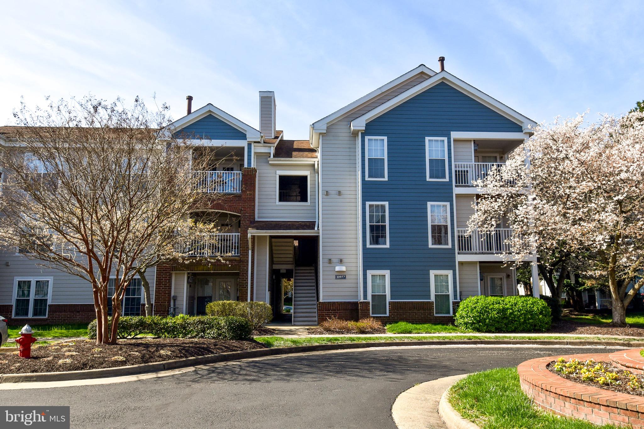 20977 Timber Ridge Terrace, Unit 202 Ashburn, VA 20147 - Photo 2 of 40 Gallery Image 2