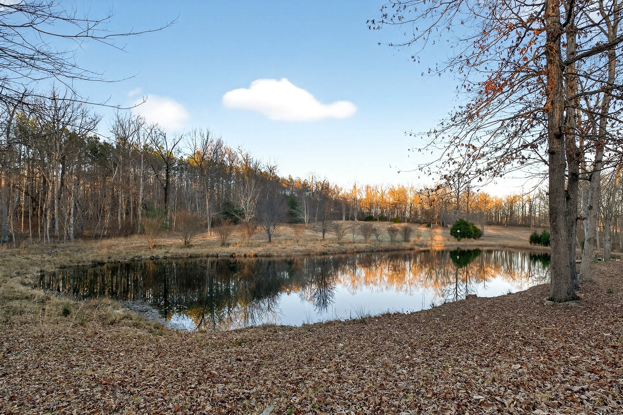 1011 Low Gap Road Sparta, TN 38583 - Photo 52 of 76 a view of a lake with a yard