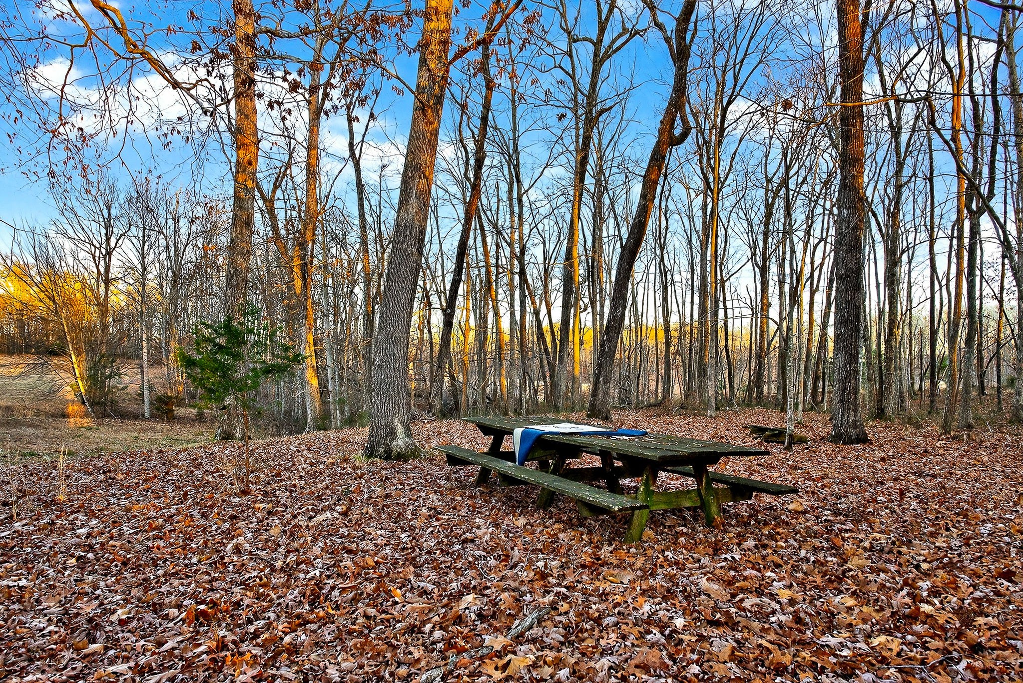 1011 Low Gap Road Sparta, TN 38583 - Photo 60 of 76 a backyard of a house with lots of green space