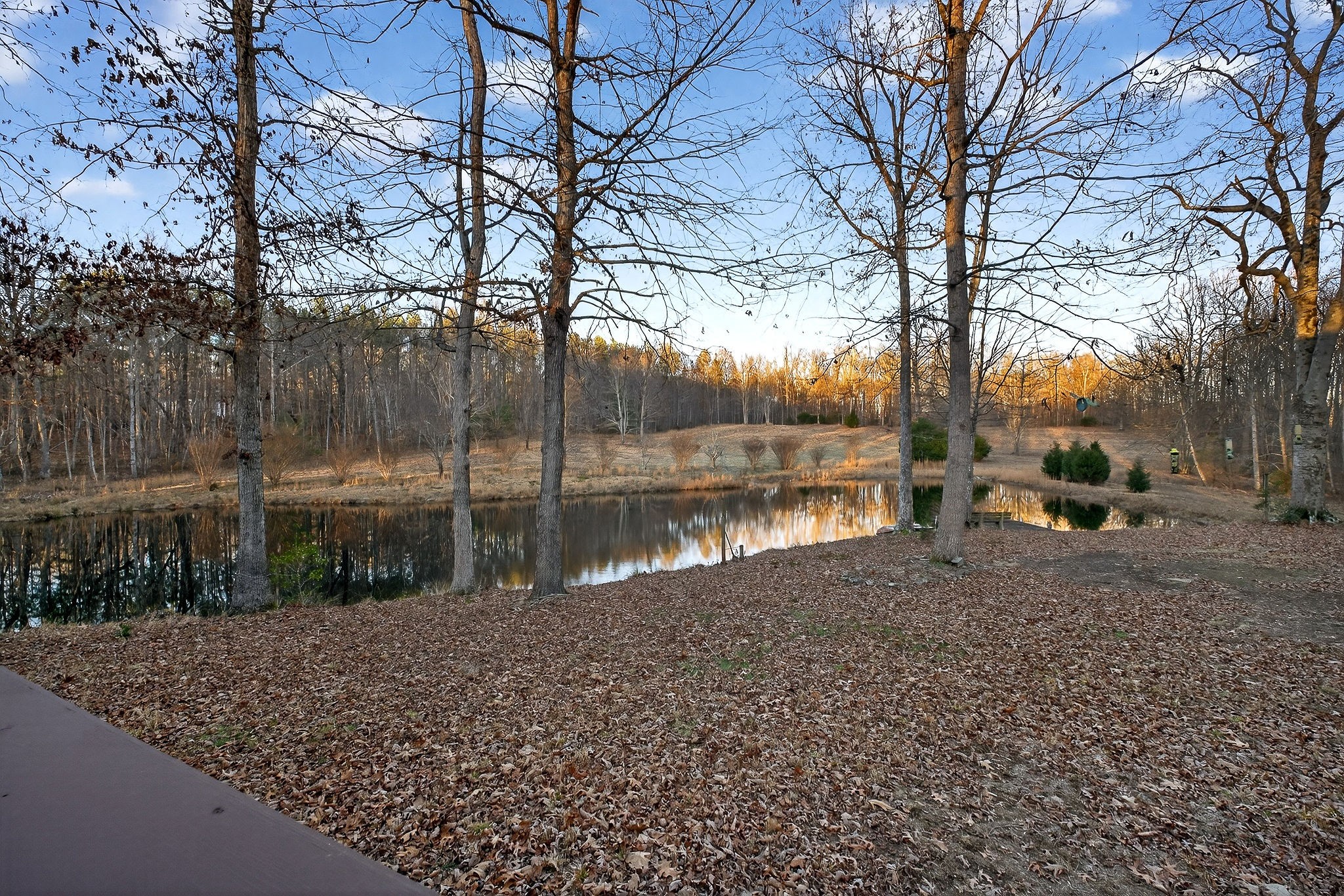 1011 Low Gap Road Sparta, TN 38583 - Photo 65 of 76 a lake view with a yard