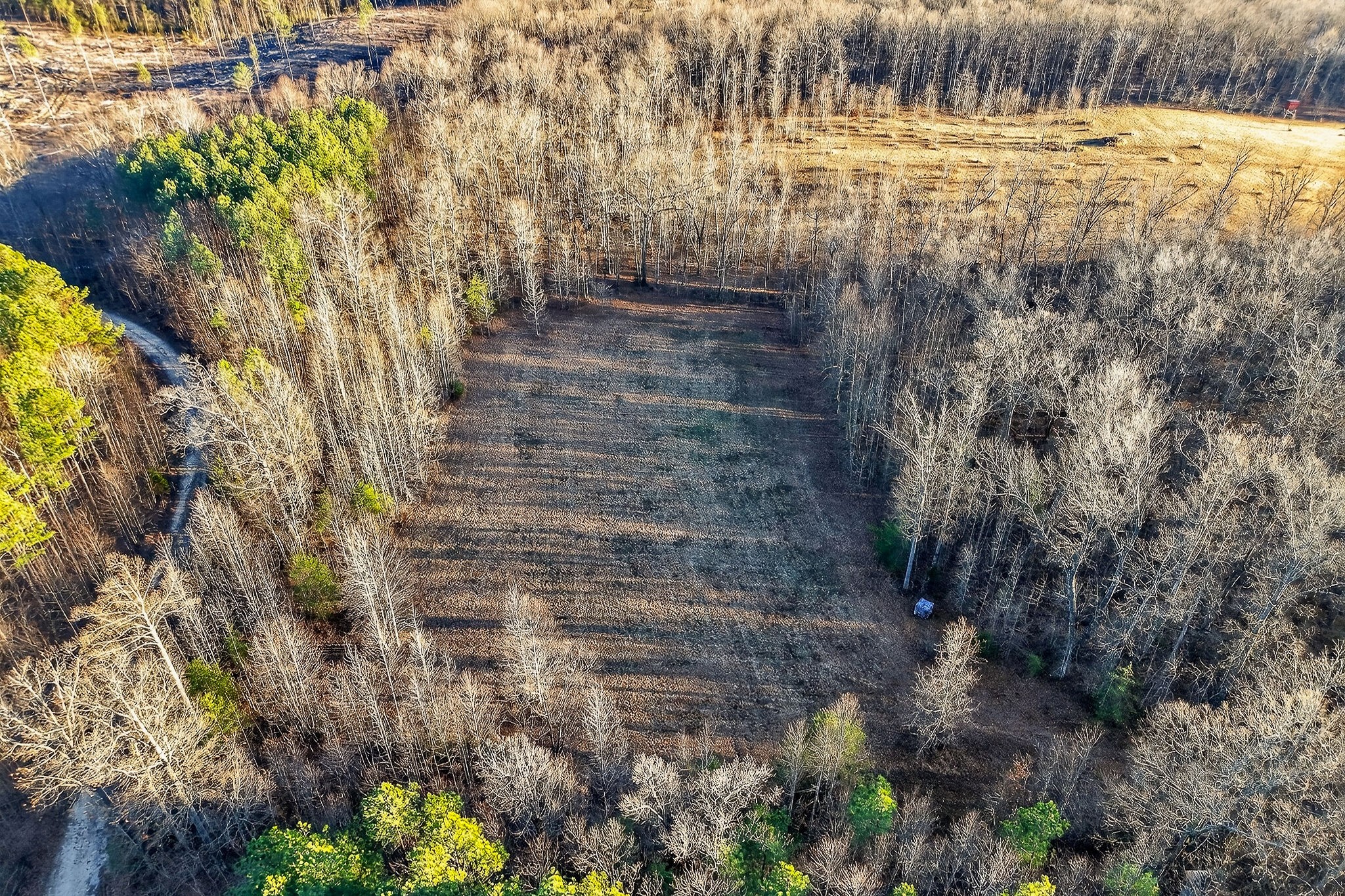 1011 Low Gap Road Sparta, TN 38583 - Photo 66 of 76