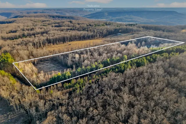 $699,000 | 1011 Low Gap Road, Sparta, TN 38583