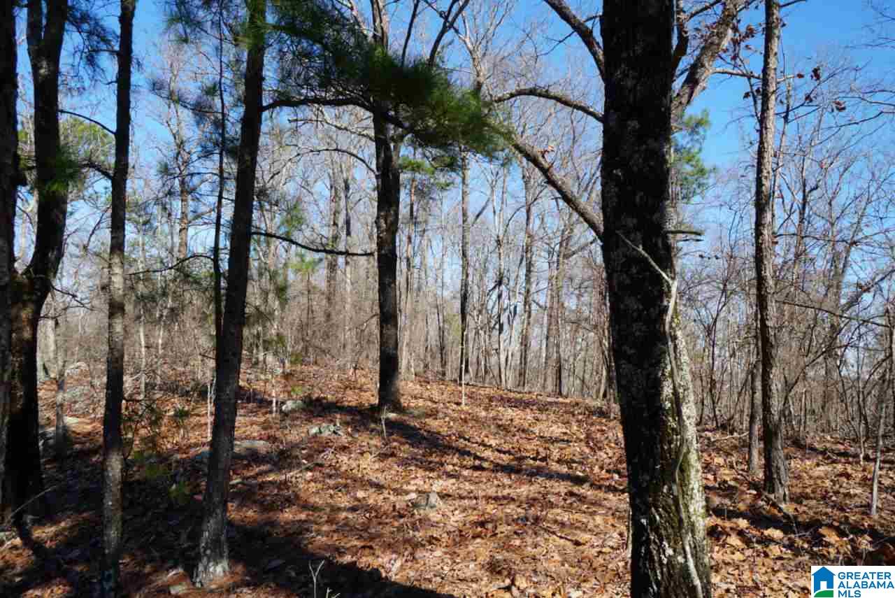 Mystic Valley View, Unit 1 Sterrett, AL 35147 - Photo 8 of 33