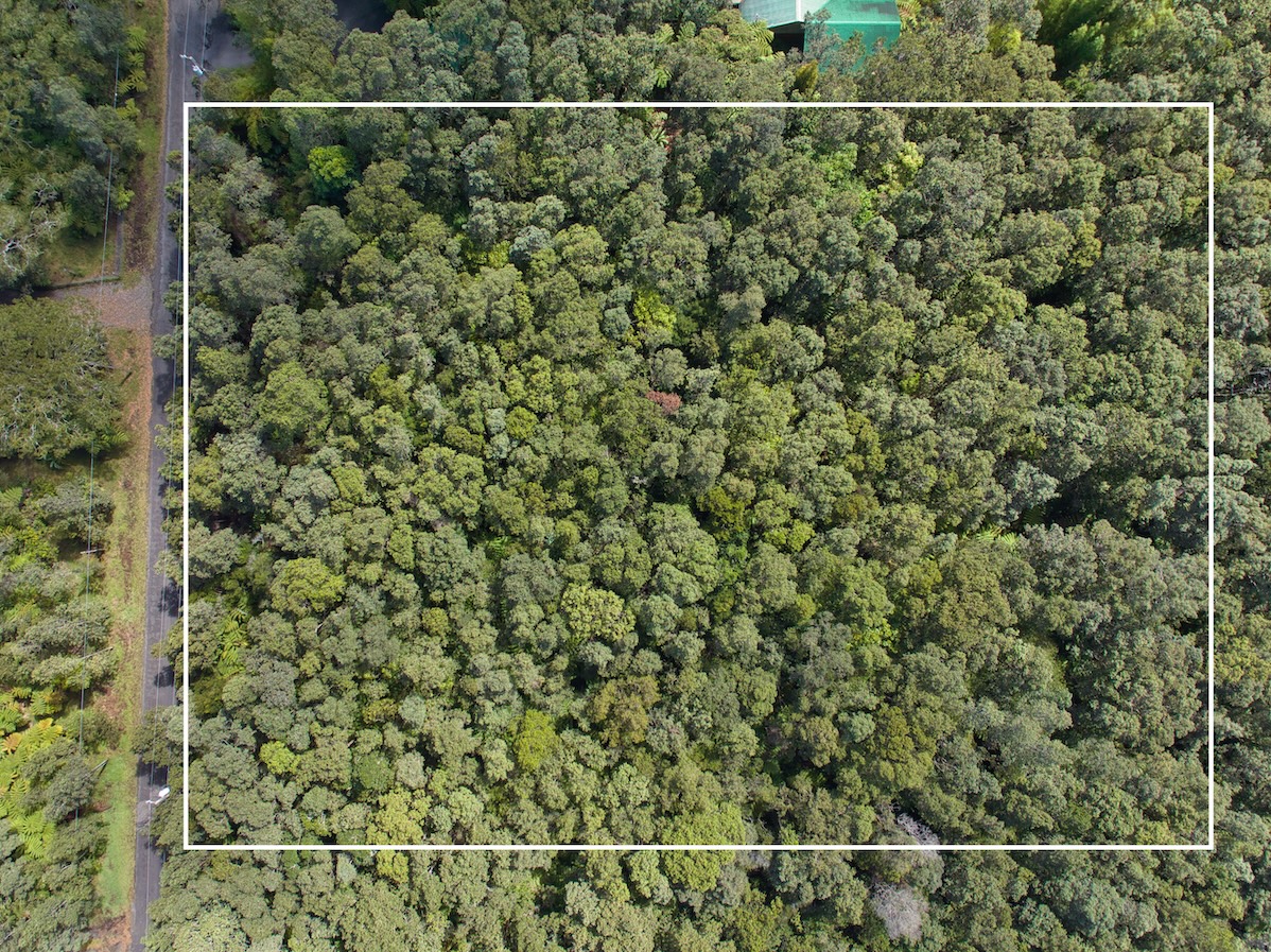 161 Kawailehua Road Volcano, HI 96785 - Photo 6 of 8 Gallery Image 6