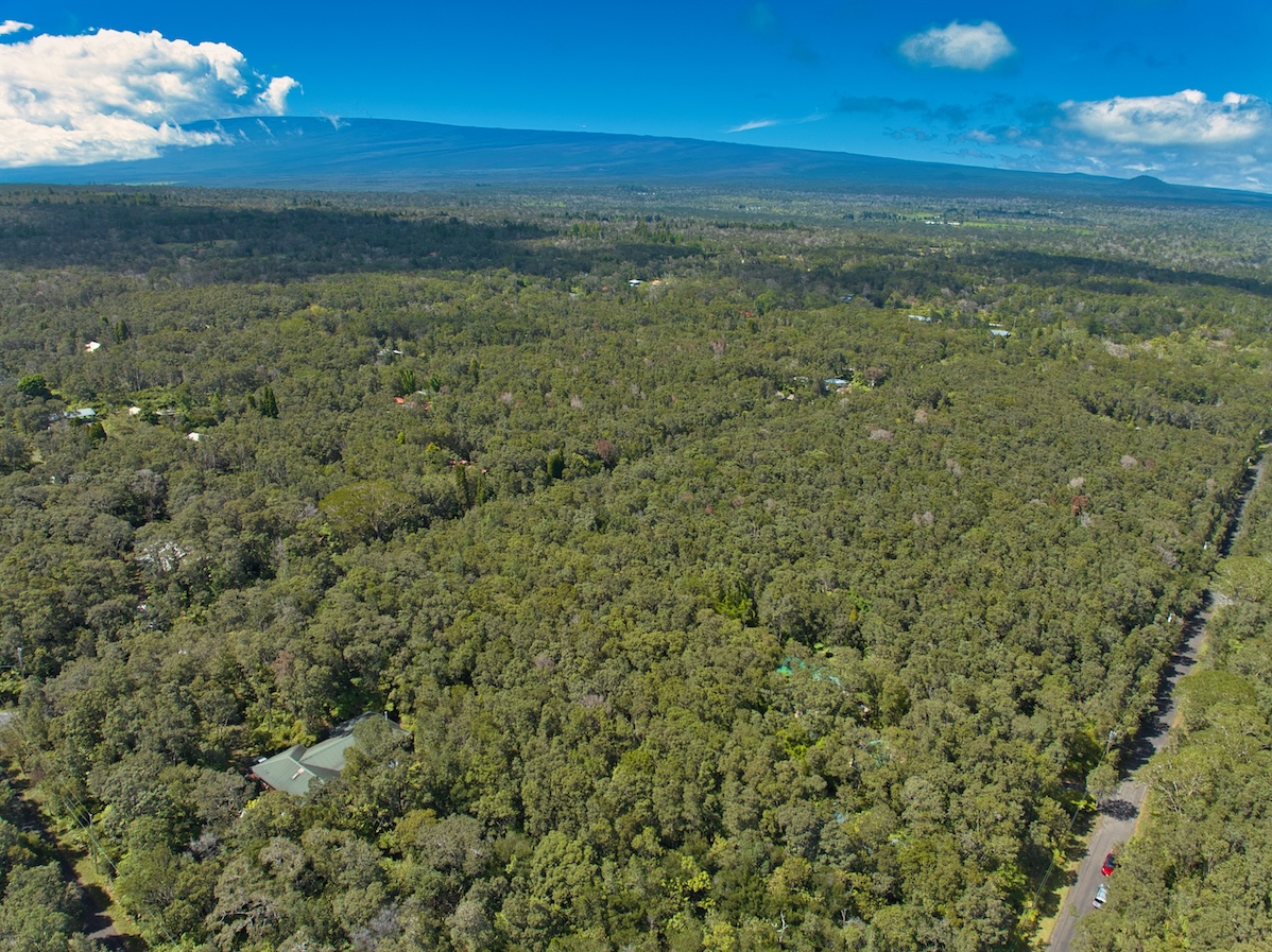 161 Kawailehua Road Volcano, HI 96785 - Photo 7 of 8 Gallery Image 7