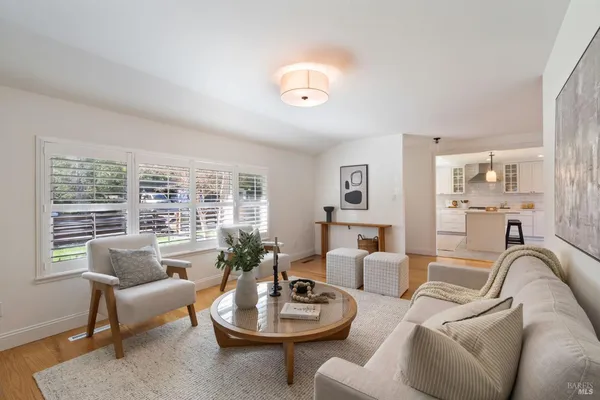 a living room with furniture and a potted plant