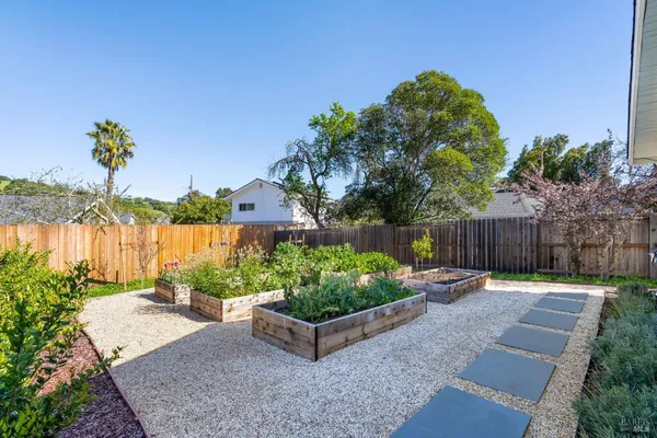 a view of a garden with potted plants