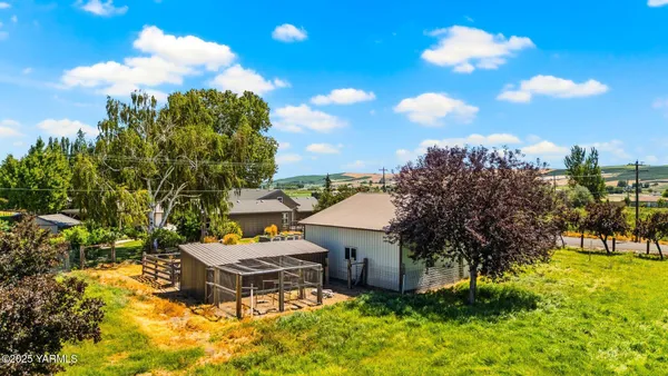a view of a patio with table and chairs potted plants and large tree