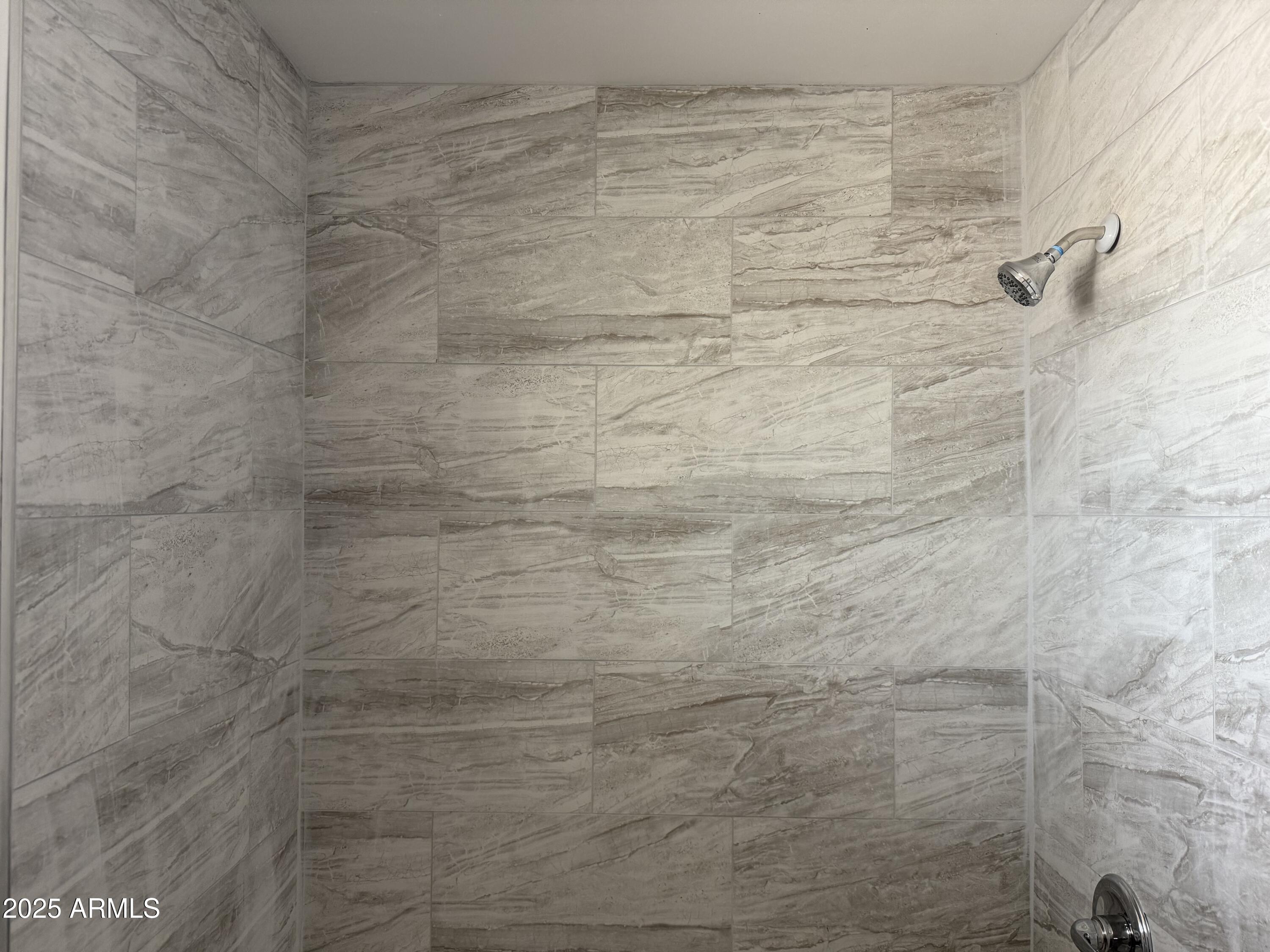 4619 South 16th Street, Unit 8 Phoenix, AZ 85040 - Photo 6 of 12 Shower