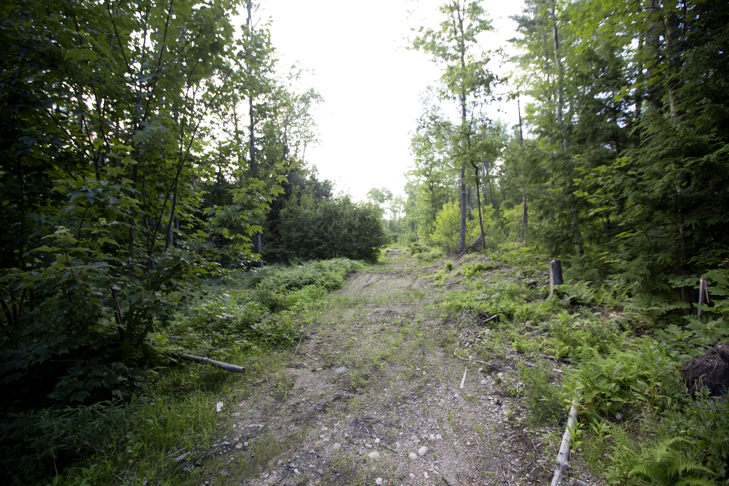 Lot 2 East Meetinghouse Rd Wells Wells, ME 04090 - Photo 3 of 6 3