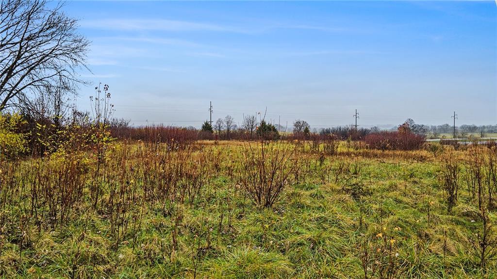 12619 Vines Road Kearney, MO 64060 - Photo 6 of 9