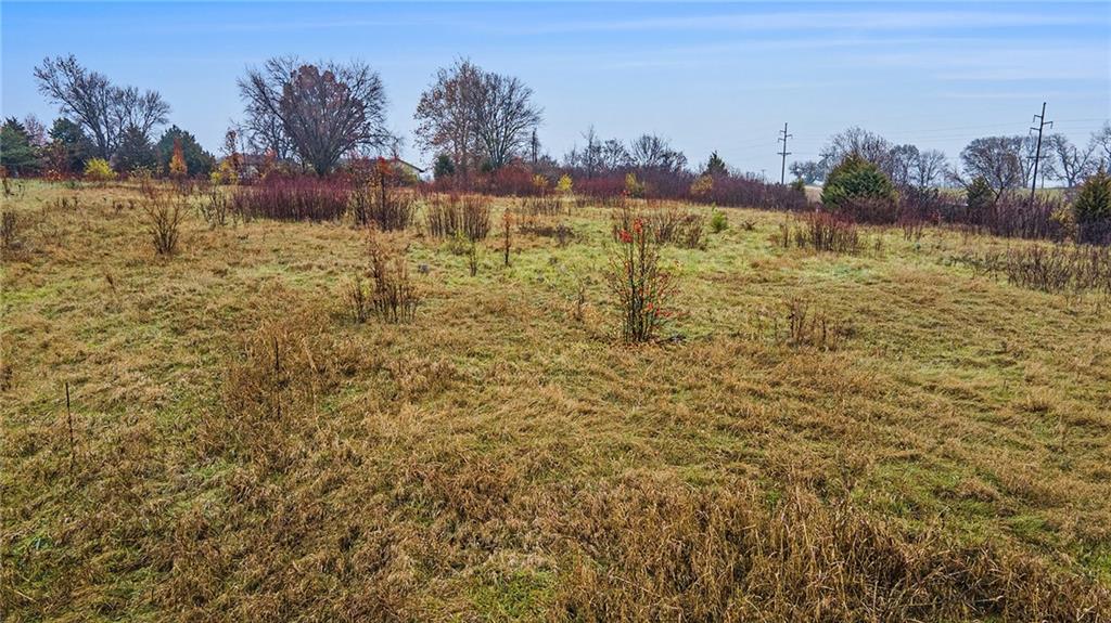 12619 Vines Road Kearney, MO 64060 - Photo 9 of 9