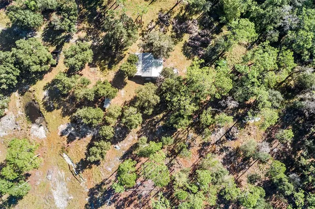 a view of lot of city and green space