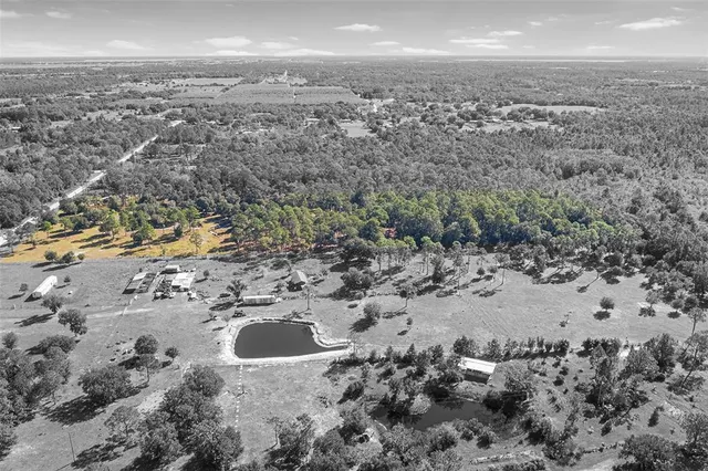 a view of a garden with plants