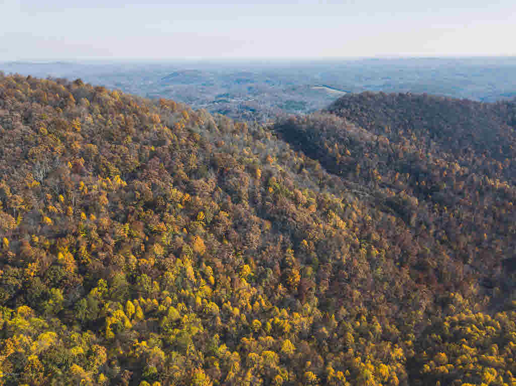 Shooting Creek Road Ferrum, VA 24088 - Photo 22 of 26 Gallery Image 22