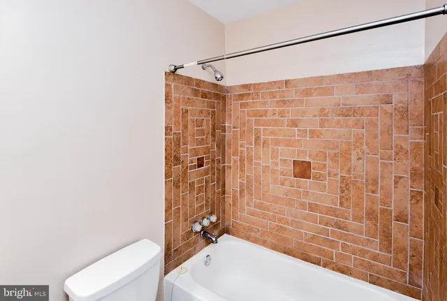 a bathroom with a shower and a toilet