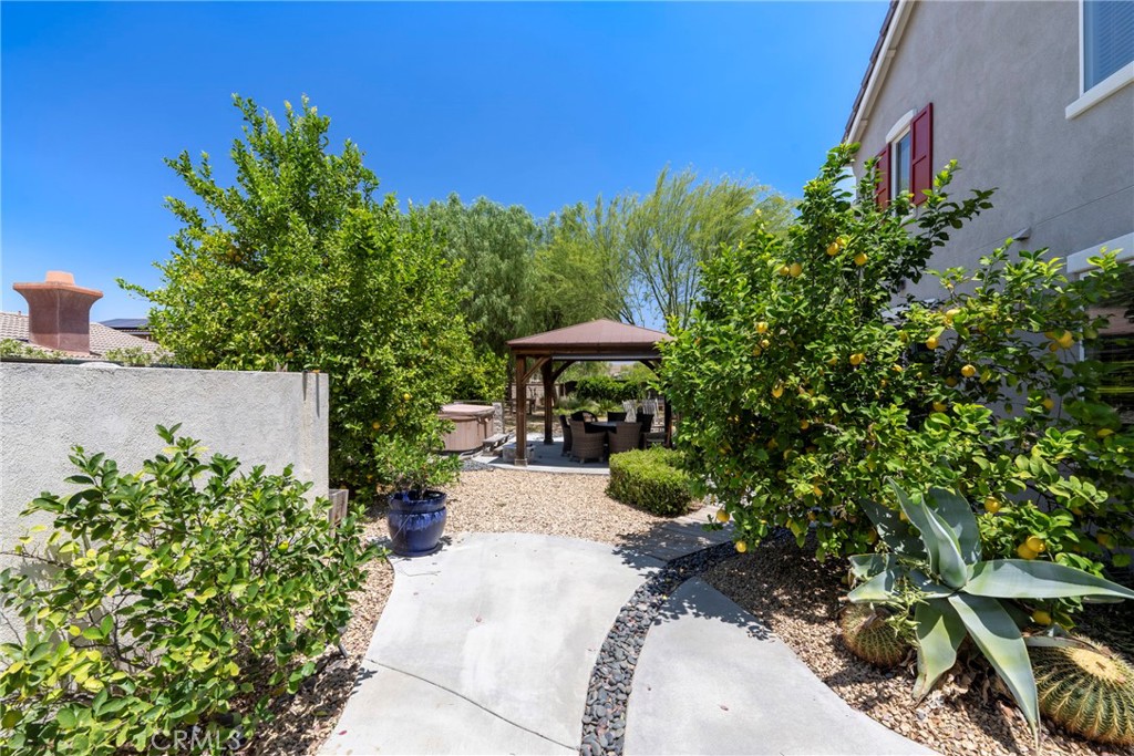 3819 St Austell Way Perris, CA 92571 - Photo 48 of 64 a view of a backyard with plants and a garden