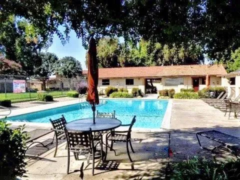a view of a patio with chairs potted plants and a large tree