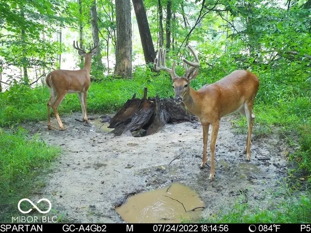 $1,799,000 | 0 West 550th South, Rockville, IN 47872