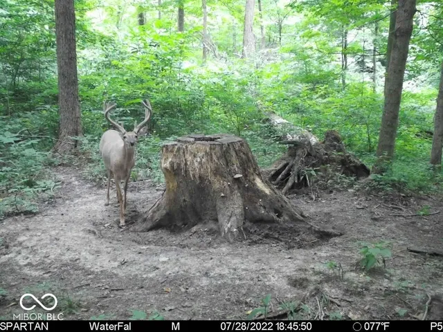 $1,799,000 | 0 West 550th South, Rockville, IN 47872