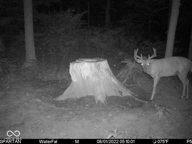 $1,799,000 | 0 West 550th South, Rockville, IN 47872