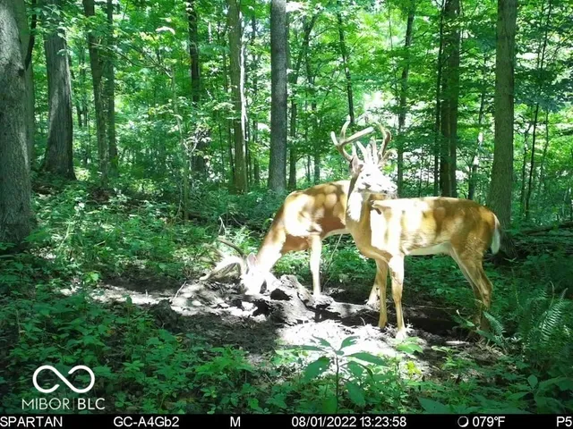 $1,799,000 | 0 West 550th South, Rockville, IN 47872