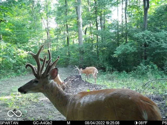 $1,799,000 | 0 West 550th South, Rockville, IN 47872