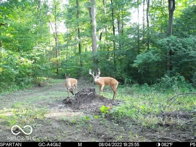 $1,799,000 | 0 West 550th South, Rockville, IN 47872