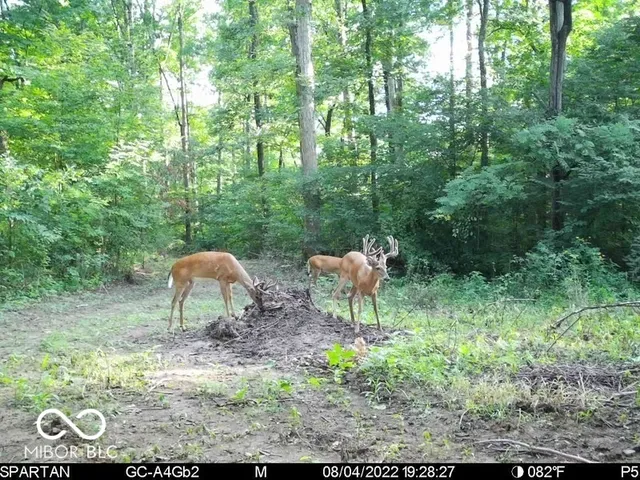 $1,799,000 | 0 West 550th South, Rockville, IN 47872