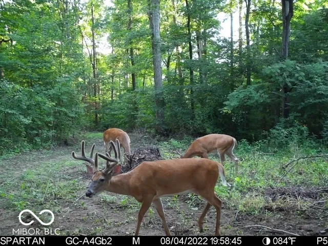 $1,799,000 | 0 West 550th South, Rockville, IN 47872