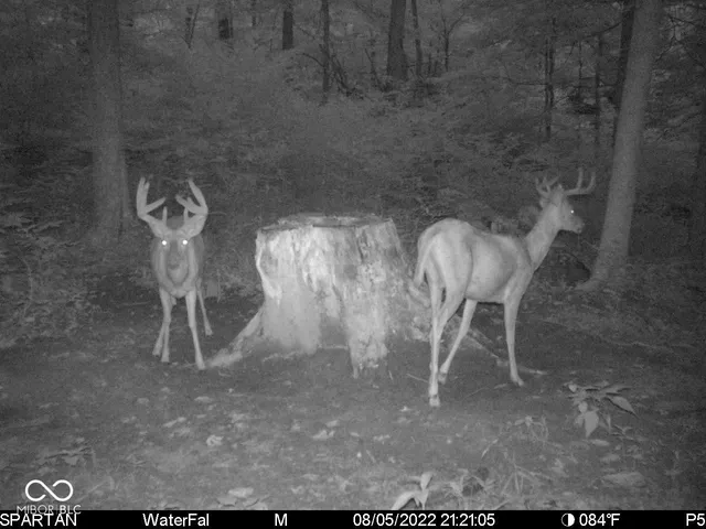 $1,799,000 | 0 West 550th South, Rockville, IN 47872