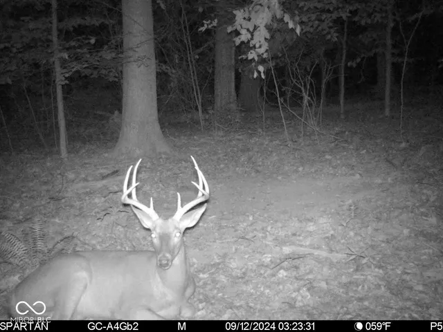 $1,799,000 | 0 West 550th South, Rockville, IN 47872