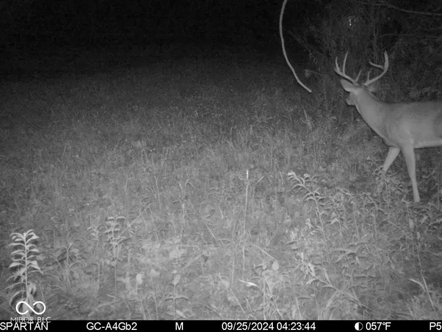 $1,799,000 | 0 West 550th South, Rockville, IN 47872