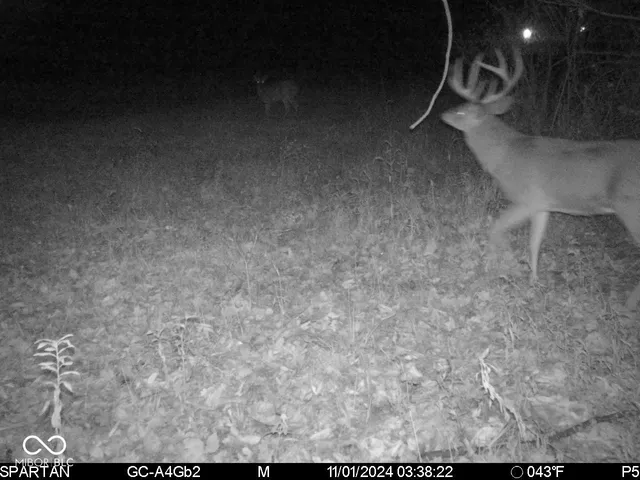 $1,799,000 | 0 West 550th South, Rockville, IN 47872